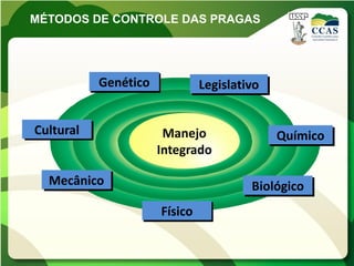 MÉTODOS DE CONTROLE DAS PRAGAS




           Genético            Legislativo


Cultural               Manejo                Químico
                      Integrado

  Mecânico                              Biológico
                      Físico
 