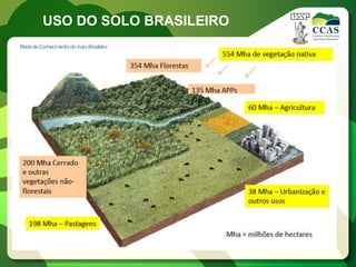 USO DO SOLO BRASILEIRO
 
