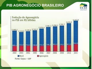 PIB AGRONEGÓCIO BRASILEIRO
 