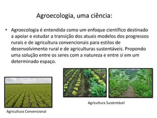 Agroecologia, uma ciência:
• Agroecologia é entendida como um enfoque científico destinado
a apoiar e estudar a transição dos atuais modelos dos progressos
rurais e de agricultura convencionais para estilos de
desenvolvimento rural e de agriculturas sustentáveis. Propondo
uma solução entre os seres com a natureza e entre si em um
determinado espaço.

Agricultura Sustentável
Agricultura Convencional

 