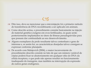 
 Dito isso, deve-se mencionar que a microinjeção foi o primeiro método
de transferência de DNA recombinante a ser aplicado em animais.
 Como descrito acima, o procedimento consiste basicamente na injeção
de material genético exógeno em ovos fertilizados, os quais serão
posteriormente implantados no útero de fêmeas pseudográvidas para
que possam dar continuidade ao seu desenvolvimento.
 Alguns exemplares da prole resultante talvez contenham o gene de
interesse e, se assim for, as características desejadas talvez consigam se
expressar conforme planejado.
 De acordo com Malajovich (2004), o maior inconveniente do
procedimento descrito consiste no fato de que um número variável de
cópias poderá fixar-se aleatoriamente em qualquer sítio do DNA da
célula receptora, o que pode não apenas resultar no funcionamento
inadequado do transgene, mas também na interrupção da expressão
de outros genes endógenos.
 