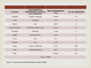 
CULTIVO
CARACTERÍSTICA
INTRODUZIDA (resitência
e/ou tolerância)
ÁREA EXPERIMENTAL
(ha)
No. DE LIBERAÇÕES
Algodão Insetos, herbicida 93,89 36
Arroz herbicida 9,8 2
Batata vírus 0,024 2
Cana-de-açúcar herbicidas, insetos, vírus 5,151 17
Eucalipto herbicida 1,163 2
Feijão herbicida, vírus 0,272 2
Fumo vírus 0,3 2
Mamão vírus 0,36 2
Milho insetos, herbicidas 717,4 780
Soja insetos,herbicidas 150,7 57
Total: 979,06 901
Fonte: CTNBio
Figura 10 : Liberações de plantas transgênicas pela CTNBio .
 