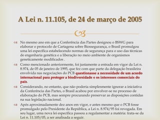 
 No mesmo ano em que a Conferência das Partes designou o BSWG para
elaborar o protocolo de Cartagena sobre Biossegurança, o Brasil promulgou
uma lei específica estabelecendo normas de segurança para o uso das técnicas
de engenharia genética e a liberação no meio ambiente de organismos
geneticamente modificados .
 Como mencionado anteriormente, foi justamente a entrada em vigor da Lei n.
8.974, de 05 de janeiro de 1995, que fez com que parte da delegação brasileira
envolvida nas negociações do PCB questionasse a necessidade de um acordo
internacional para proteger a biodiversidade e os interesses comerciais do
país.
 Considerando, no entanto, que não poderia simplesmente ignorar a iniciativa
da Conferência das Partes, o Brasil acabou por envolver-se no processo de
elaboração do PCB, mas sempre procurando preservar as disposições contidas
na sua legislação nacional.
 Após aproximadamente dez anos em vigor, e antes mesmo que o PCB fosse
promulgado pelo Presidente da República, a Lei n. 8.974/95 foi revogada. Em
seu lugar, uma nova lei específica passou a regulamentar a matéria: trata-se da
Lei n. 11.105/05, a ser analisada a seguir.
A Lei n. 11.105, de 24 de março de 2005
 