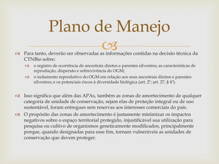  Para tanto, deverão ser observadas as informações contidas na decisão técnica da
CTNBio sobre:
 o registro de ocorrência de ancestrais diretos e parentes silvestres; as características de
reprodução, dispersão e sobrevivência do OGM;
 o isolamento reprodutivo do OGM em relação aos seus ancestrais diretos e parentes
silvestres; e os potenciais riscos à diversidade biológica (art. 2º; art. 27, § 4º).
 Isso significa que além das APAs, também as zonas de amortecimento de qualquer
categoria de unidade de conservação, sejam elas de proteção integral ou de uso
sustentável, foram entregues sem reservas aos interesses comerciais do país.
 O propósito das zonas de amortecimento é justamente minimizar os impactos
negativos sobre o espaço territorial protegido, injustificável sua utilização para
pesquisa ou cultivo de organismos geneticamente modificados, principalmente
porque, quando designadas para esse fim, tornam vulneráveis as unidades de
conservação que devem proteger.
Plano de Manejo
 