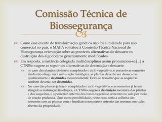 
 Como esse evento de transformação genética não foi autorizado para uso
comercial no país, o MAPA solicitou à Comissão Técnica Nacional de
Biossegurança orientação sobre as possíveis alternativas de descarte ou
destruição dos algodoeiros geneticamente modificados.
 Em resposta, a instância colegiada multidisciplinar assim pronunciou-se:[...] a
CTNBio sugere as seguintes alternativas de destruição e descarte:
 no caso das plantas não terem completado o ciclo vegetativo, e portanto as sementes
ainda não atingiram a maturação fisiológica, as plantas deverão ser dessecadas
quimicamente e destruídas mecanicamente. Deve-se ressaltar que as soqueiras
também deverão ser destruídas.
 No caso das plantas já terem completado o ciclo vegetativo, e as sementes já terem
atingido a maturação fisiológica, a CTNBio sugere a destruição mecânica das plantas
e das soqueiras, e o posterior enterrio dos restos vegetais e sementes no solo por meio
de aração profunda. Uma outra possibilidade, neste caso, seria a colheita das
sementes com as plumas com o imediato transporte e enterrio das mesmas em valas
abertas da propriedade.
Comissão Técnica de
Biossegurança
 