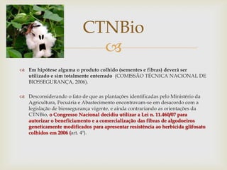 
 Em hipótese alguma o produto colhido (sementes e fibras) deverá ser
utilizado e sim totalmente enterrado (COMISSÃO TÉCNICA NACIONAL DE
BIOSSEGURANÇA, 2006).
 Desconsiderando o fato de que as plantações identificadas pelo Ministério da
Agricultura, Pecuária e Abastecimento encontravam-se em desacordo com a
legislação de biossegurança vigente, e ainda contrariando as orientações da
CTNBio, o Congresso Nacional decidiu utilizar a Lei n. 11.460/07 para
autorizar o beneficiamento e a comercialização das fibras de algodoeiros
geneticamente modificados para apresentar resistência ao herbicida glifosato
colhidos em 2006 (art. 4º).
CTNBio
 