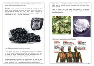 acentuadamente a vontade de estudar, de trabalhar, de relacionar-se com a   Depois vem a ansiedade, depressão, desânimo, tristeza, cansaço, a
família, bem como o desinteresse por tudo.                                  pessoa pode ter infartos cerebrais, convulsões, com febre muito intensa
                                                                            seguida de morte.
HAXIXE: É uma preparação mais concentrada da maconha, é uma
                                                                            Como o usuário não quer sentir esses efeitos, ele faz qualquer
resina oleosa endurecida em forma de bolotas escuras. Que é feita a
                                                                            coisa para conseguir a droga, ele pode matar, roubar e se prostituir
partir da planta da maconha. Por ser  uma    droga    derivada da
                                                                            para conseguir a droga.
maconha, seus efeitos são praticamente os mesmos, mas pela alta
concentração de THC, eles são mais intensos.




                                                                            TRÊS VIAS PARA CHEGAR AO CÉREBRO




COCAÍNA: estimulante do sistema nervoso central

É uma planta que depois de vários processos químicos, se transforma
em um pó branco, podendo ser batizado, ou seja, misturado com talco,
sal, amido de milho, aspirina, pó de gesso, pó de mármore, pó de giz e
diversos outros produtos. Até vidro de lâmpadas fluorescentes

O grande problema da cocaína é o seu primeiro efeito, que dura em torno
de 15 minutos, pois dá a sensação de bem estar, força e poder, a
pessoa pensa que virou o super homem e que nada poderá atingi-lo.
                                                                      69                                                                        70
 