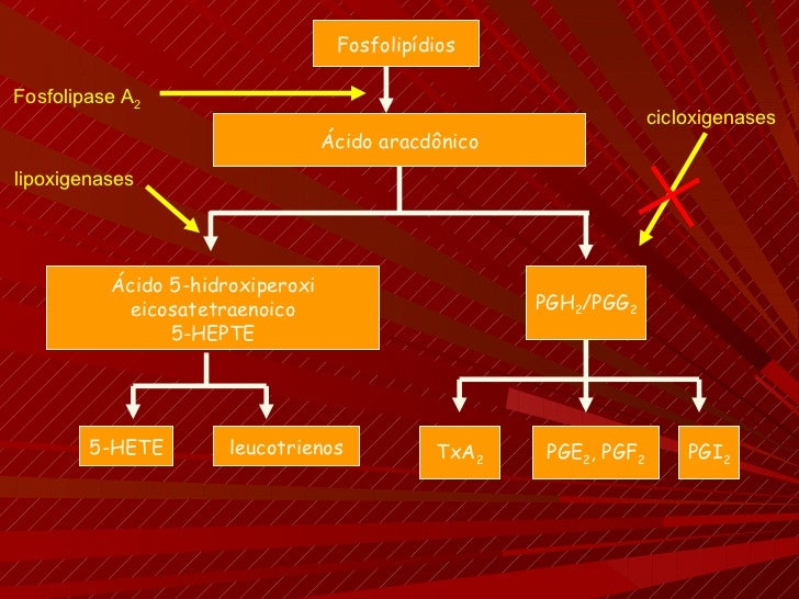 Segurança de Medicamentos Antiinflamatórios inibidores da Cox 2