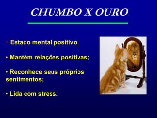 O TRABALHADOR DEVE SE CUIDARAlimentação equilibrada, Exercícios físicos regulares, Dormir bem,Não abusar de álcool, não fumar e não usar drogas, Ter pensamentos e atitudes positivas. 