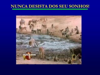 O que mudou:  O que permitiram as origens dessa mudança;	Reaprender – treinar – adaptar-se.