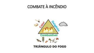 COMBATE À INCÊNDIO
 