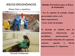 Esforço físico e repetitivos
Bancada Inadequada
Medidas Preventivas para os Riscos
de Ambientais
• Uso de capacete de proteção (chapéu
para proteção contra o sol);
•Botas impermeáveis;
• Luvas, óculos de proteção;
•A bancada de trabalho deve ter
características dimensionais que
possibilitem posicionamento e
movimentação adequados dos segmentos
corporais, segundo a Norma
Regulamentadora 17 – Ergonomia.
RISCOS ERGONÔMICOS
 