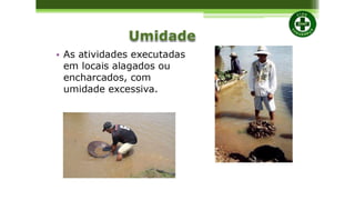 SEGURANÇA DO TRABALHO COMPLETO.pdf