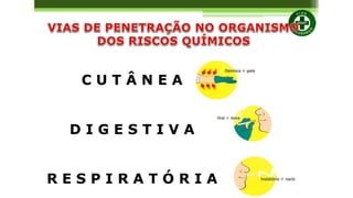 SEGURANÇA DO TRABALHO COMPLETO.pdf