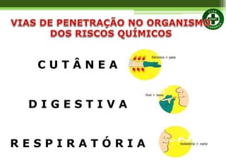 C U T Â N E A
D I G E S T I V A
R E S P I R A T Ó R I A
 