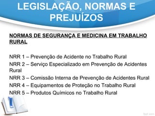LEGISLAÇÃO, NORMAS E
PREJUÍZOS
NORMAS DE SEGURANÇA E MEDICINA EM TRABALHO
RURAL
NRR 1 – Prevenção de Acidente no Trabalho Rural
NRR 2 – Serviço Especializado em Prevenção de Acidentes
Rural
NRR 3 – Comissão Interna de Prevenção de Acidentes Rural
NRR 4 – Equipamentos de Proteção no Trabalho Rural
NRR 5 – Produtos Químicos no Trabalho Rural
 