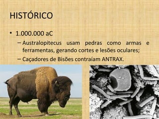 HISTÓRICO
• 1.000.000 aC
– Australopitecus usam pedras como armas e
ferramentas, gerando cortes e lesões oculares;
– Caçadores de Bisões contraíam ANTRAX.
 
