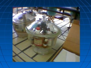 Segurança laboratório