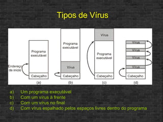 Tipos de Vírus Um programa executável Com um vírus à frente Com um vírus no final Com vírus espalhado pelos espaços livres dentro do programa 