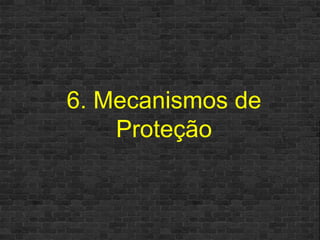 6. Mecanismos de Proteção 