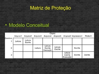 Modelo Conceitual Matriz de Proteção 