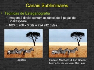 Técnicas de Esteganografia Imagem à direita contém os textos de 5 peças de Shakespeare 1024 x 768 x 3 bits = 294 912 bytes Canais Subliminares Zebras Hamlet, Macbeth, Julius Caesar Mercador de Veneza, Rei Lear 