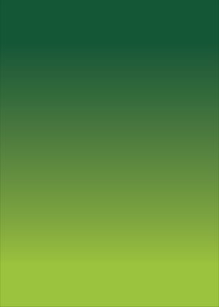 Seguranca maquinascalçados