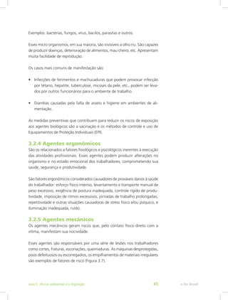 Exemplos: bactérias, fungos, vírus, bacilos, parasitas e outros.
Esses micro organismos, em sua maioria, são invisíveis a olho nu. São capazes
de produzir doenças, deterioração de alimentos, mau cheiro, etc. Apresentam
muita facilidade de reprodução.
Os casos mais comuns de manifestação são:
•	 Infecções de ferimentos e machucaduras que podem provocar infecção
por tétano, hepatite, tuberculose, micoses da pele, etc., podem ser leva-
dos por outros funcionários para o ambiente de trabalho.
•	 Diarréias causadas pela falta de asseio e higiene em ambientes de ali-
mentação.
As medidas preventivas que contribuem para reduzir os riscos de exposição
aos agentes biológicos são a vacinação e os métodos de controle e uso de
Equipamentos de Proteção Individuais (EPI).
3.2.4 Agentes ergonômicos
São os relacionados a fatores fisiológicos e psicológicos inerentes à execução
das atividades profissionais. Esses agentes podem produzir alterações no
organismo e no estado emocional dos trabalhadores, comprometendo sua
saúde, segurança e produtividade.
São fatores ergonômicos considerados causadores de prováveis danos à saúde
do trabalhador: esforço físico intenso, levantamento e transporte manual de
peso excessivo, exigência de postura inadequada, controle rígido de produ-
tividade, imposição de ritmos excessivos, jornadas de trabalho prolongadas,
repetitividade e outras situações causadoras de stress físico e/ou psíquico, e
iluminação inadequada, ruído.
3.2.5 Agentes mecânicos
Os agentes mecânicos geram riscos que, pelo contato físico direto com a
vítima, manifestam sua nocividade.
Esses agentes são responsáveis por uma série de lesões nos trabalhadores
como cortes, fraturas, escoriações, queimaduras. As máquinas desprotegidas,
pisos defeituosos ou escorregadios, os empilhamentos de materiais irregulares
são exemplos de fatores de risco (Figura 3.7).
e-Tec BrasilAula 3 - Riscos ambientais e a legislação 45
 