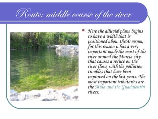 Route: middle course of the river
 Here the alluvial plane begins
to have a width that is
positioned about the50 msnm,
for this reason it has a very
important made the most of the
river around the Murcia city
that causes a reduce on the
river flow, with the pollution
troubles that have been
improved on the last years. The
most important tributaries are
the Mula and the Guadalentín
rivers.
 