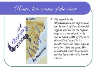 Route: low course of the river
 The mouth in the
Mediterranean sea is produced
on the north of Guardamar del
Segura, and leaves the Segura
vega as a zone closed to the
sea. It has a width of 221 m in
the artificial canal in its
mouth. Since the closed zone is
very low there are gaps. The
caudal that contributes to the
sea has been reduced to less of
1 m³/s.
 