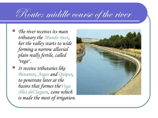 Route: middle course of the river
 The river receives its main
tributary the Mundo river,
her the valley starts to wide
forming a narrow alluvial
plain really fertile, called
"vega" .
 Ir receive tributaries like
Benamor, Argos and Quípar,
to penetrate later at the
basins that formes theVega
Alta del Segura, zone which
is made the most of irrigation.
 