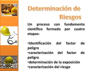 Un proceso con fundamento
científico formado por cuatro
etapas:
•Identificación del factor de
peligro
•caracterización del factor de
peligro
•determinación de la exposición
•caracterización del riesgo
 