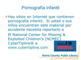 Seguridad En Internet