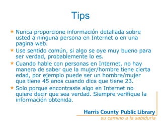 Seguridad En Internet