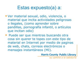 Seguridad En Internet
