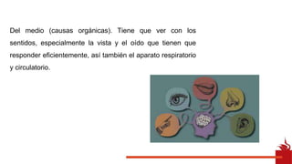 Del medio (causas orgánicas). Tiene que ver con los
sentidos, especialmente la vista y el oído que tienen que
responder eficientemente, así también el aparato respiratorio
y circulatorio.
 