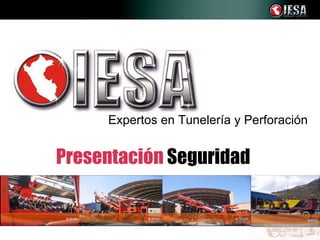 Expertos en Tunelería y Perforación


Presentación Seguridad
 