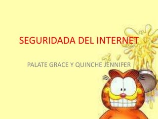 SEGURIDADA DEL INTERNET
PALATE GRACE Y QUINCHE JENNIFER
 