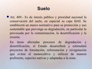 Suelo
Art. 409.- Es de interés público y prioridad nacional la
conservación del suelo, en especial su capa fértil. Se
establecerá un marco normativo para su protección y uso
sustentable que prevenga su degradación, en particular la
provocada por la contaminación, la desertificación y la
erosión.
En áreas afectadas procesos de degradación y
desertificación, el Estado desarrollará y estimulará
proyectos de forestación, reforestación y revegetación
que eviten el monocultivo y utilicen de manera
preferente, especies nativas y adaptadas a la zona.

 