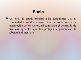 Suelo
Art. 410.- El estado brindará a los agricultores y a las
comunidades rurales apoyo para la conservación y
restauración de los suelos, así como para el desarrollo de
prácticas agrícolas que los protejan y promuevan la
soberanía alimentaria.

 