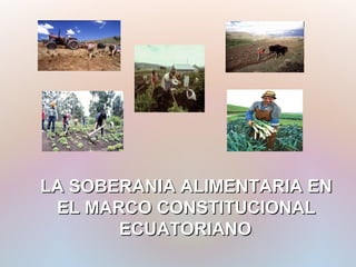 LA SOBERANIA ALIMENTARIA EN
 EL MARCO CONSTITUCIONAL
       ECUATORIANO :
 