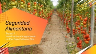 Seguridad
Alimentaria
Equipo 1
Introducción a la agronomía
La Paz Baja California Sur
 