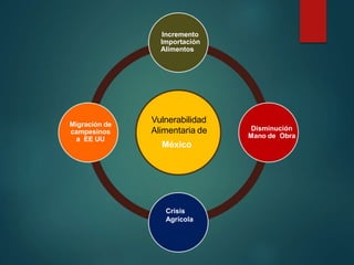 Vulnerabilidad
Alimentaria de
México
Incremento
Importación
Alimentos
Disminución
Mano de Obra
Crisis
Agrícola
Migración de
campesinos
a EE UU
 