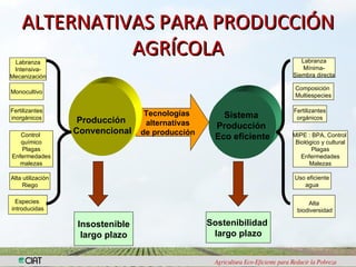 Biodiversidad y eco-eficiencia: su rol en la seguridad alimentaria
