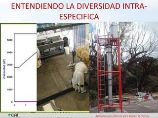 Biodiversidad y eco-eficiencia: su rol en la seguridad alimentaria