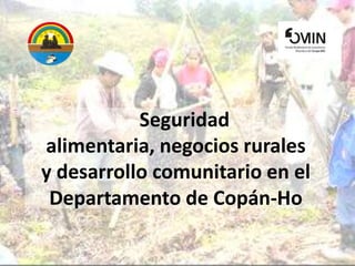 Seguridad alimentaria, negocios rurales y desarrollo comunitario en el Departamento de Copán-Ho 