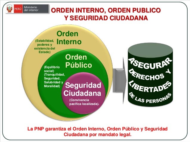 Seguridad ciudadana1