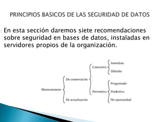 En esta sección daremos siete recomendaciones 
sobre seguridad en bases de datos, instaladas en 
servidores propios de la organización. 
 