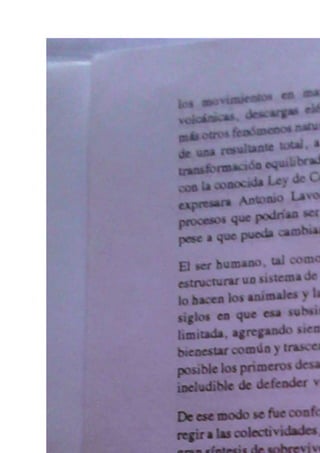 Seguridad del Estado Michelena