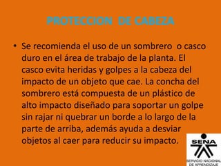 PROTECCION DE CABEZA
• Se recomienda el uso de un sombrero o casco
  duro en el área de trabajo de la planta. El
  casco evita heridas y golpes a la cabeza del
  impacto de un objeto que cae. La concha del
  sombrero está compuesta de un plástico de
  alto impacto diseñado para soportar un golpe
  sin rajar ni quebrar un borde a lo largo de la
  parte de arriba, además ayuda a desviar
  objetos al caer para reducir su impacto.
 